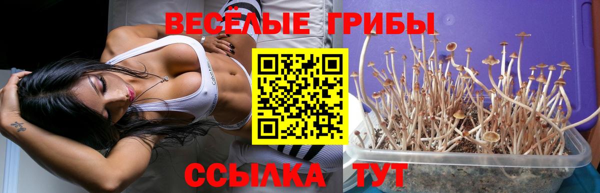 Ирбит  Псилоцибиновые грибы MAGIC MUSHROOMS  Вход с VPN 